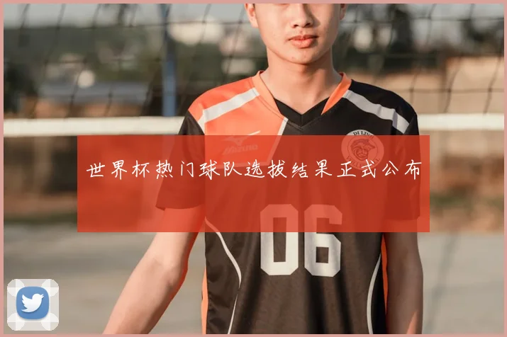 世界杯热门球队选拔结果正式公布